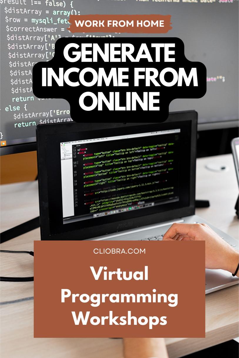 Build a Profitable Business with Virtual Programming Workshops for Students