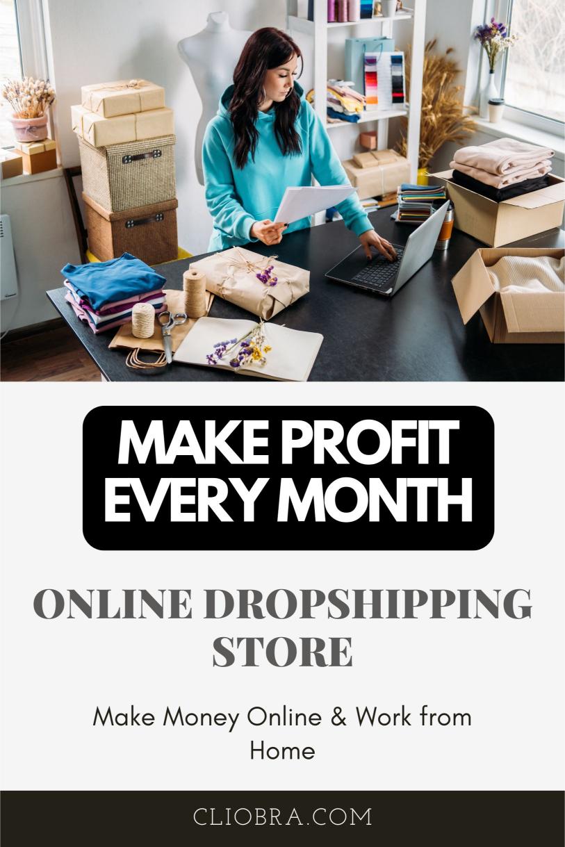 How to Earn Monthly with an Online Dropshipping Store for Niche Products