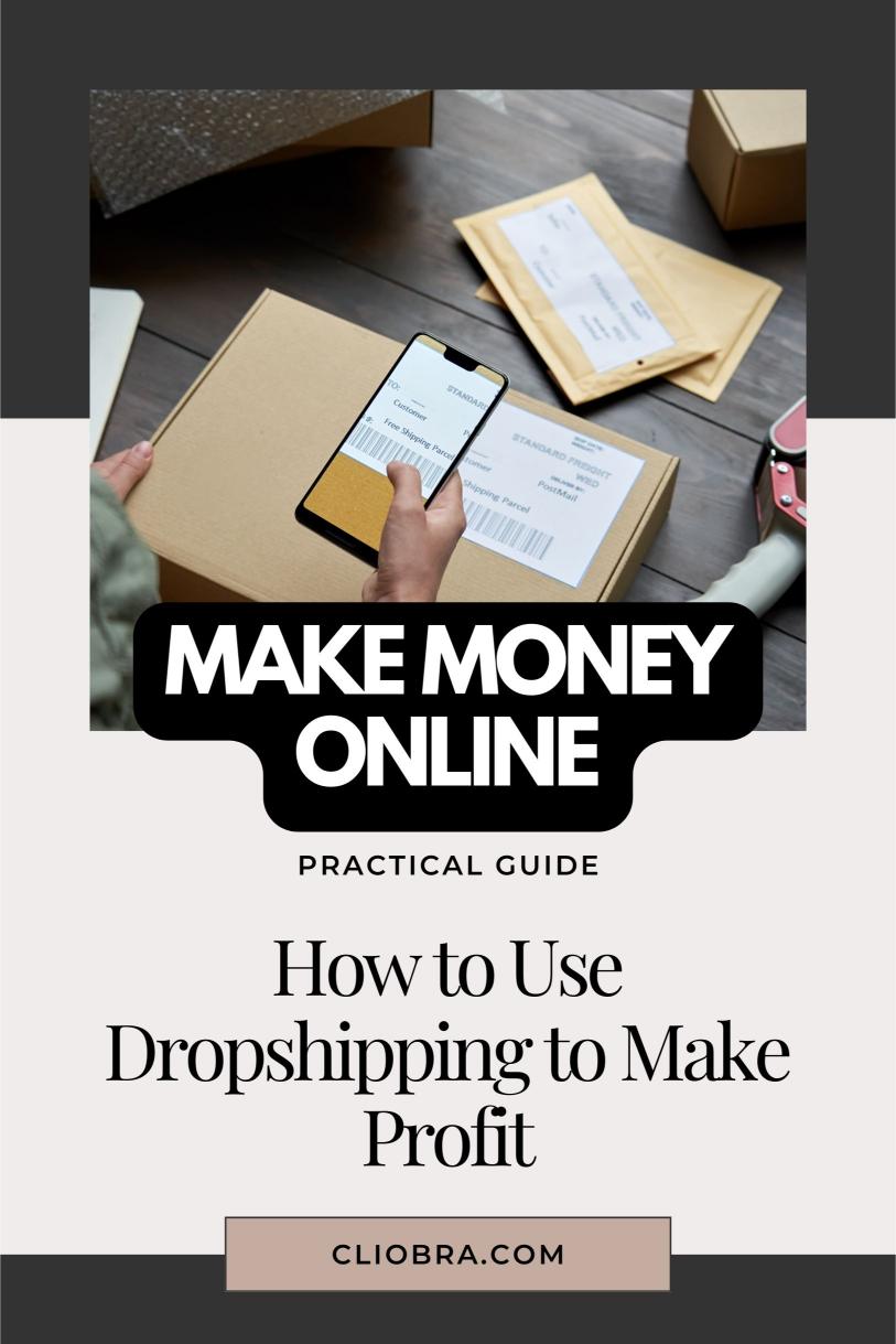 How to Use Dropshipping to Make Profit Every Month (Practical Guide)