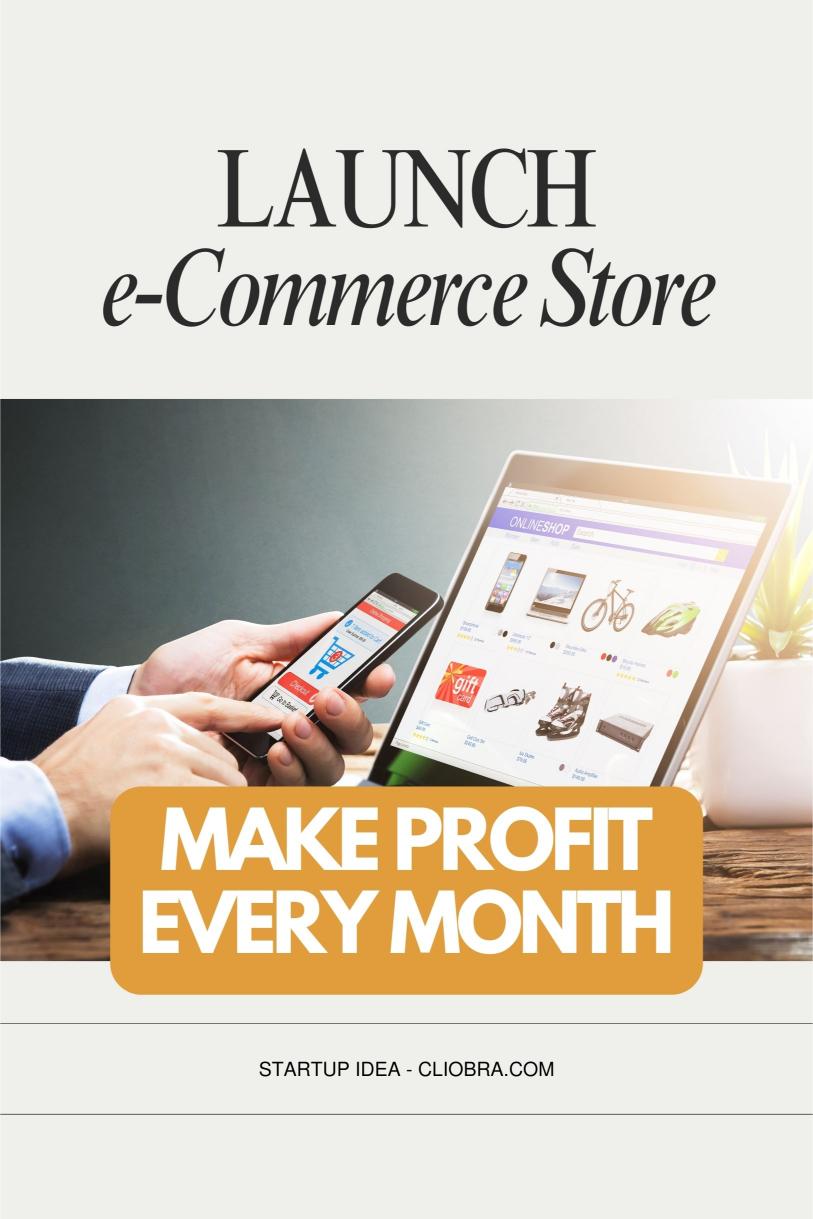 Want to Earn Passive Income from Home? Here’s How to Launch a Niche E-commerce Store