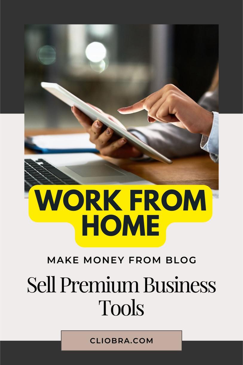 How to Generate Monthly Income from Your Blog by Selling Premium Business Tools