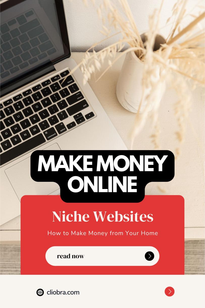 How to Make Money from Your Home by Creating and Monetizing Niche Websites