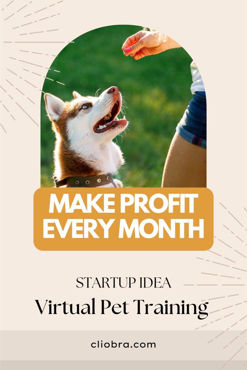 Startup Idea: Virtual Pet Training Online – Your Ticket to a Massive Income Stream