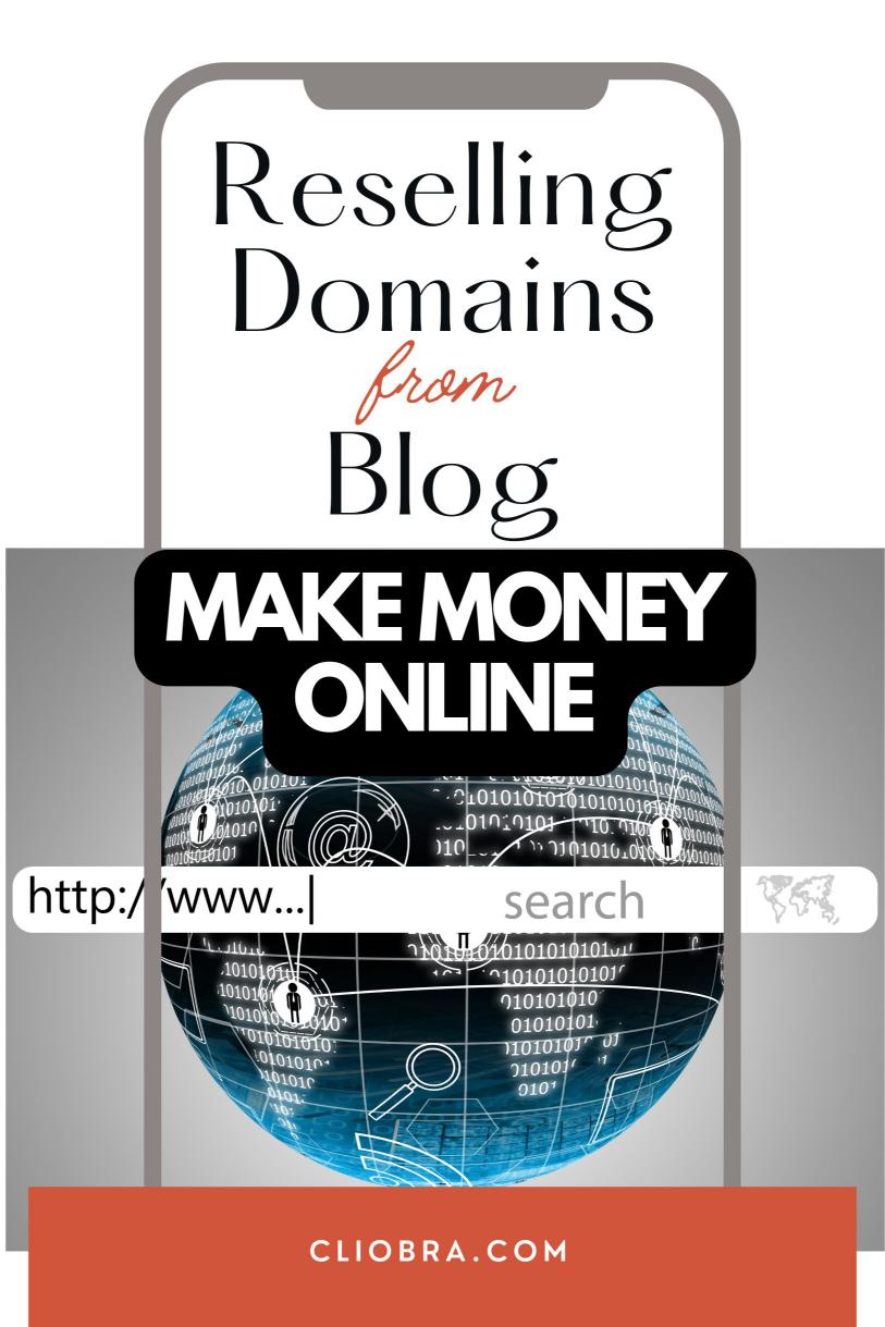 Unlock Hidden Profits: Reselling Domains Through Your Blog