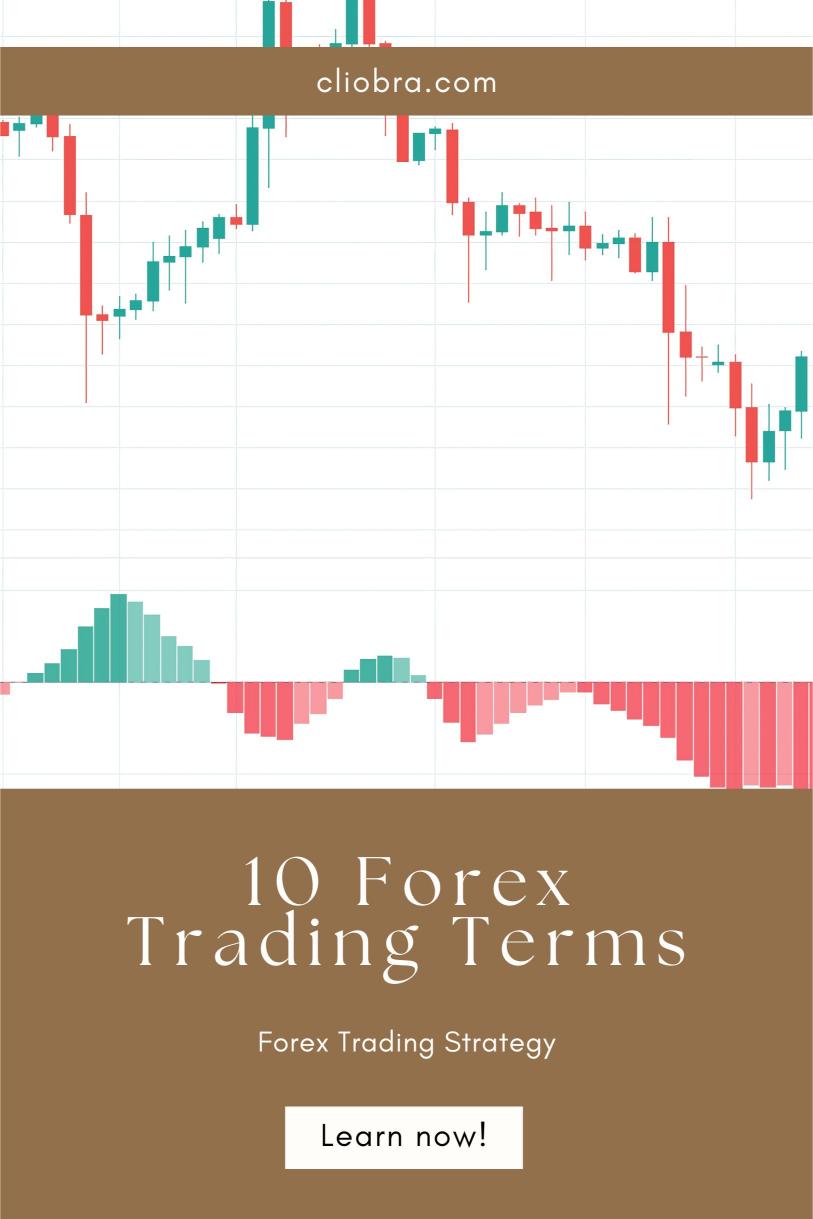 10 Forex Trading Terms Every Beginner Should Know