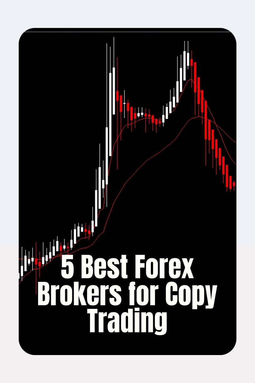 5 Best Forex Brokers for Copy Trading (Automate Your Profits!)