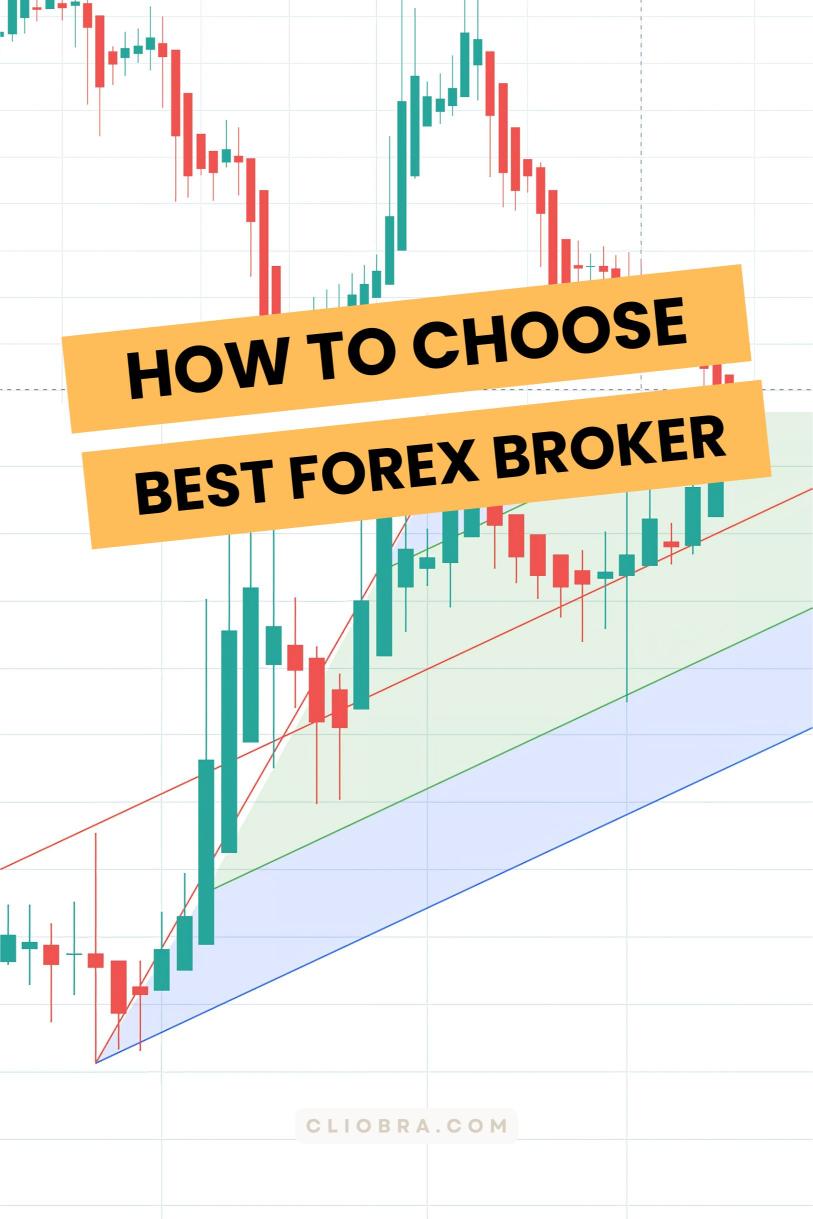 How to Choose the Best Forex Broker for Beginners