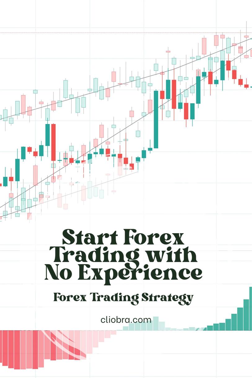 How to Start Forex Trading with No Experience