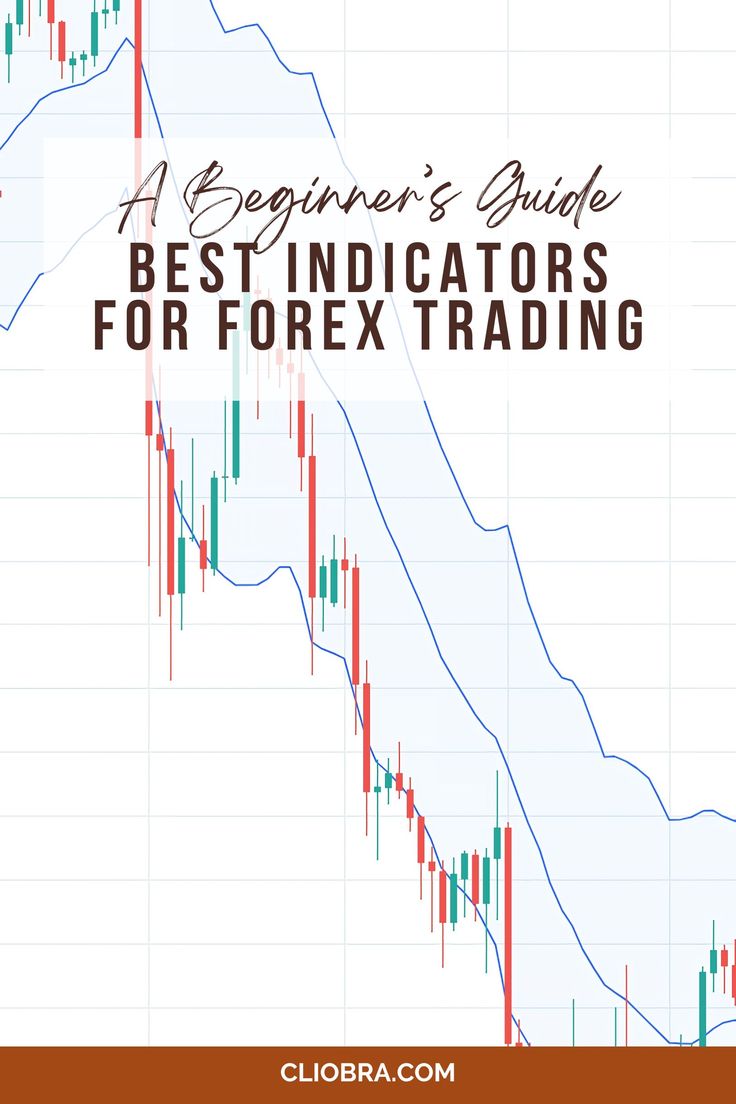 The Best Indicators for Forex Trading: A Beginner’s Guide