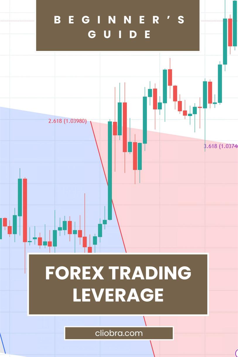 What Every Beginner Should Know About Forex Trading Leverage