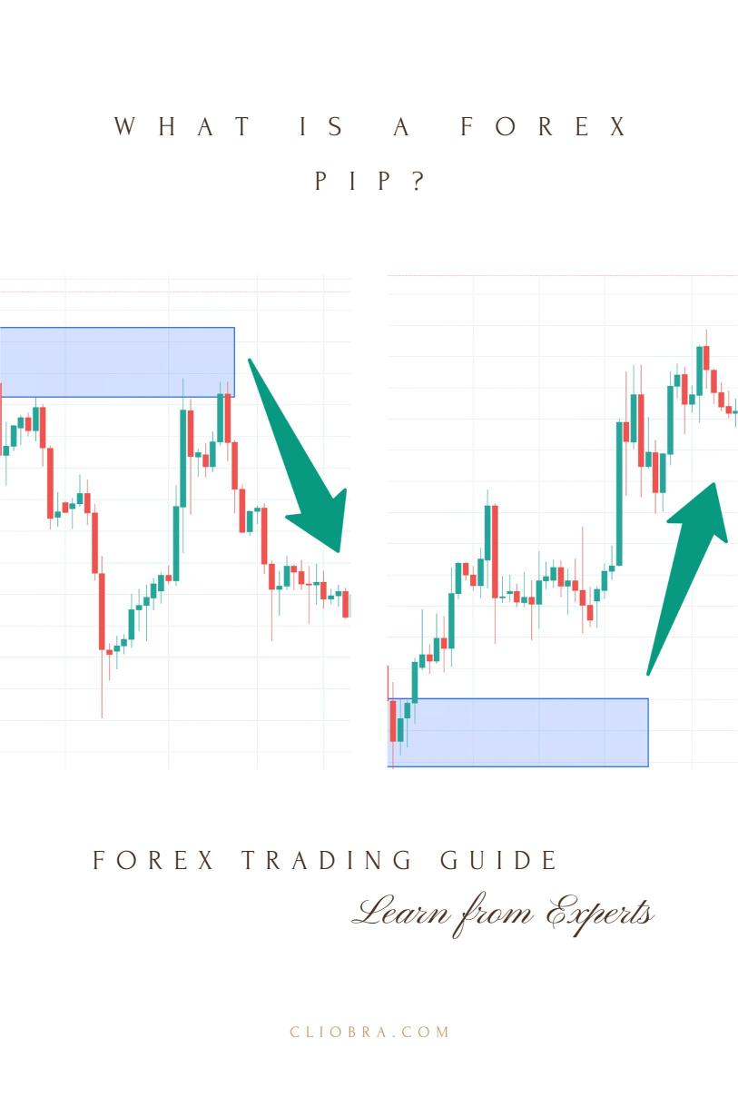 What is a Forex Pip? Everything You Need to Know