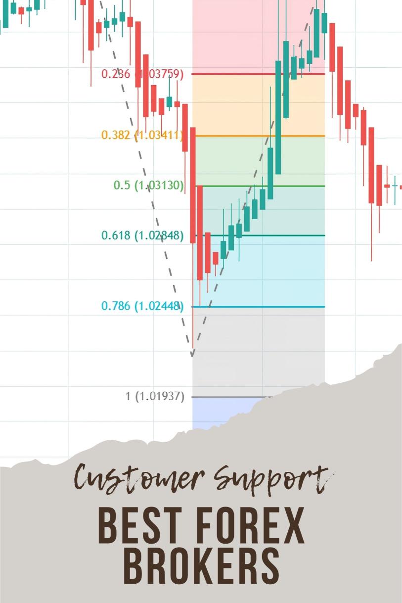 Which Forex Brokers Offer the Best Customer Support?