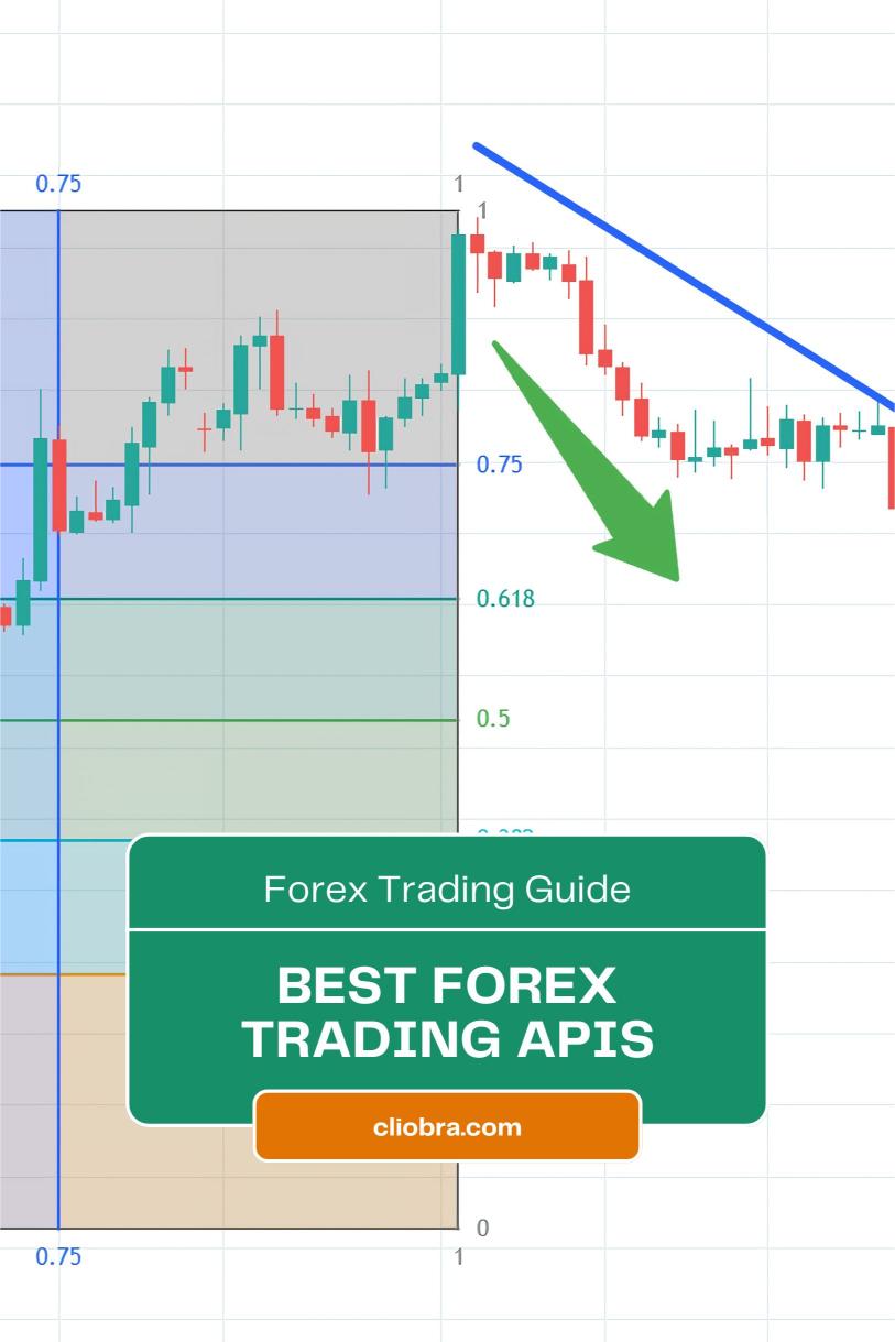 Best Forex Trading APIs for Algorithmic Traders