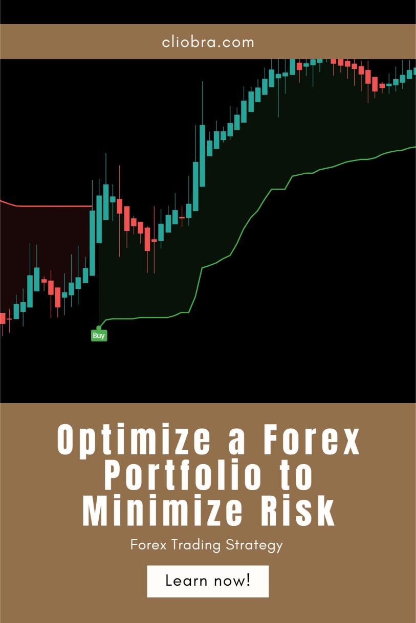 How to Optimize a Forex Portfolio to Minimize Risk and Maximize Profit?