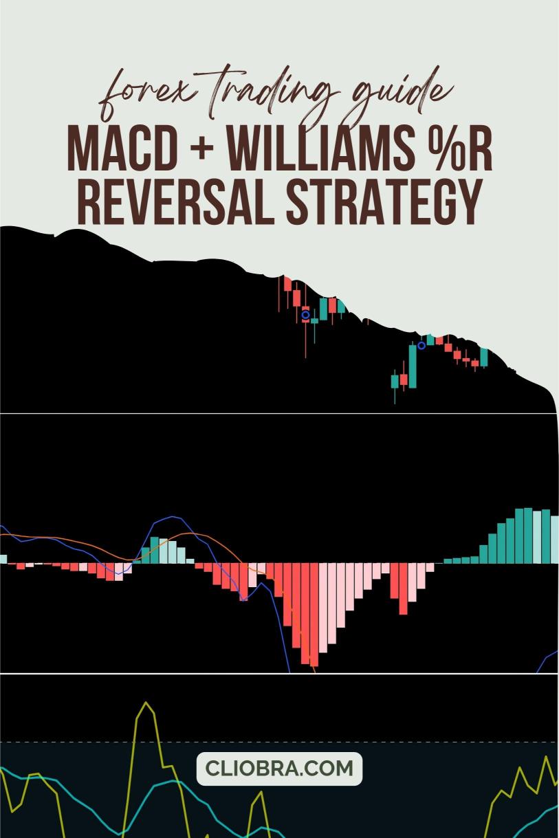 How to Trade Forex Using the MACD + Williams %R Reversal Strategy?