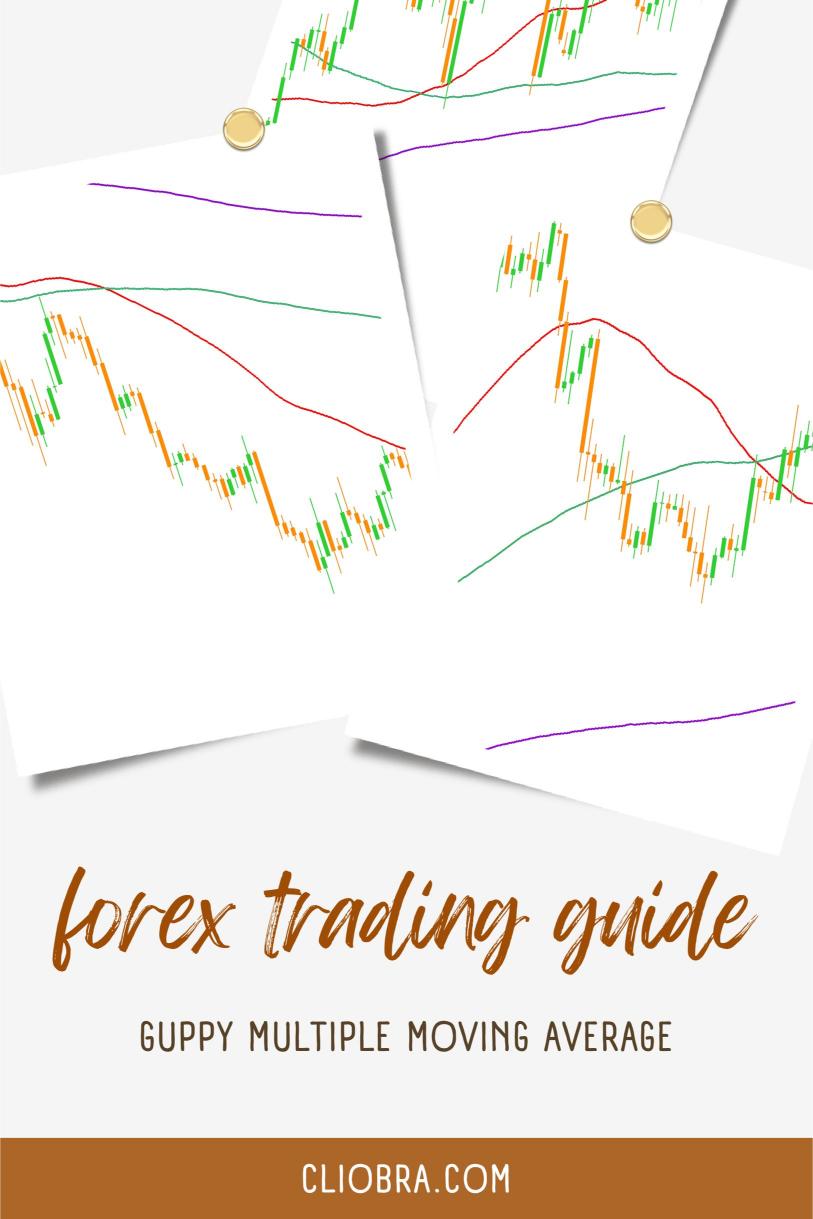 How to Use the ‘Guppy Multiple Moving Average’ for Forex Trading?