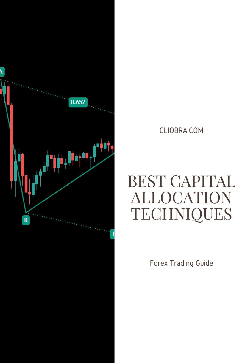 The Best Capital Allocation Techniques for Forex Traders