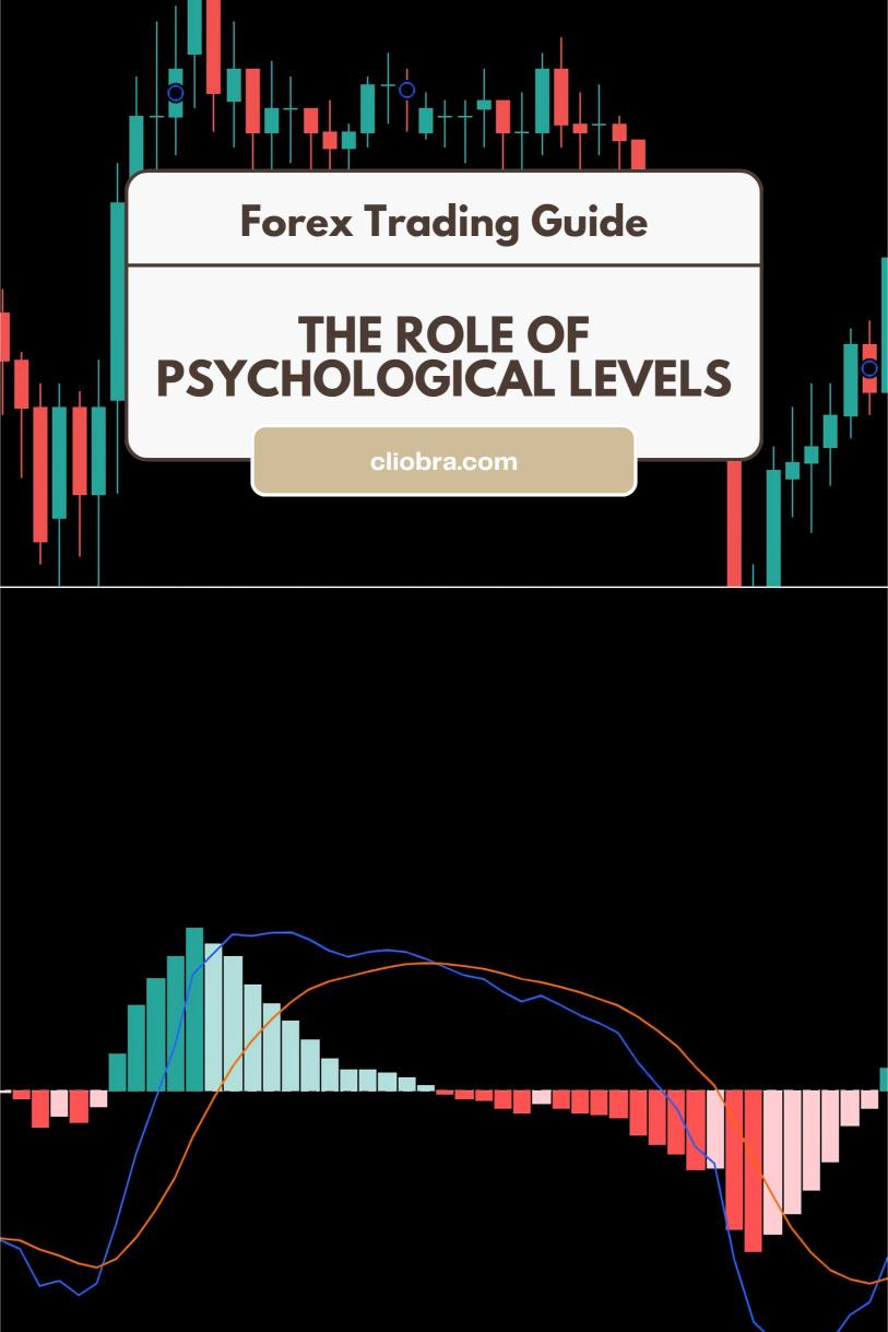 The Role of Psychological Levels in Forex Trading