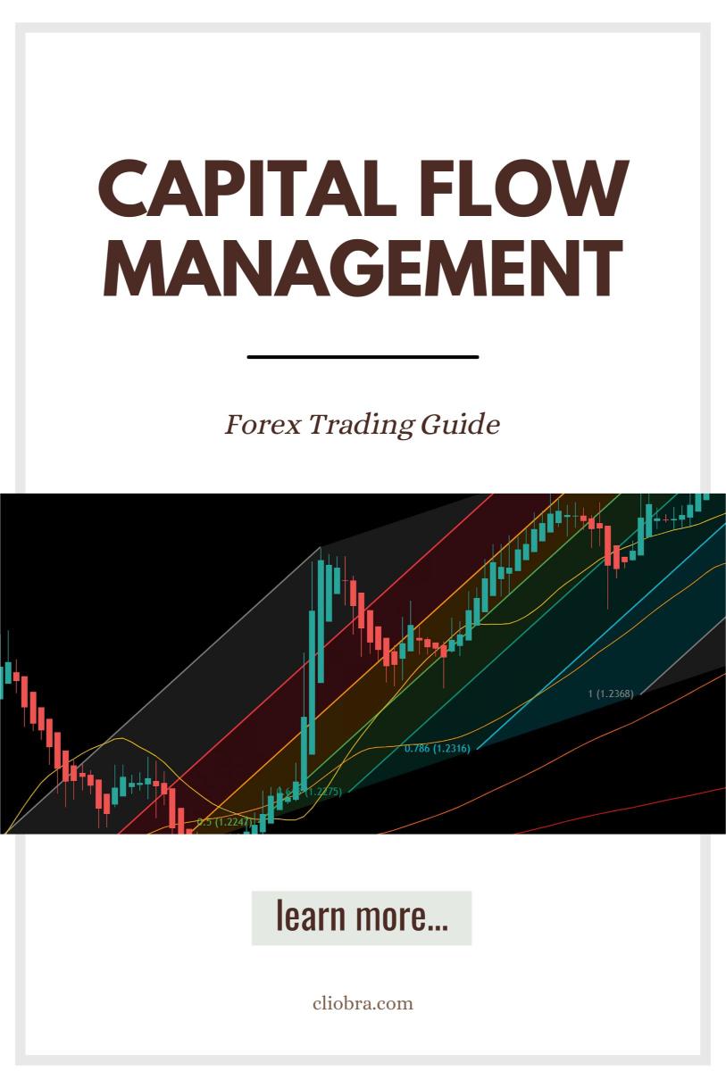 Why ‘Capital Flow Management’ Is Key in Advanced Forex Trading?