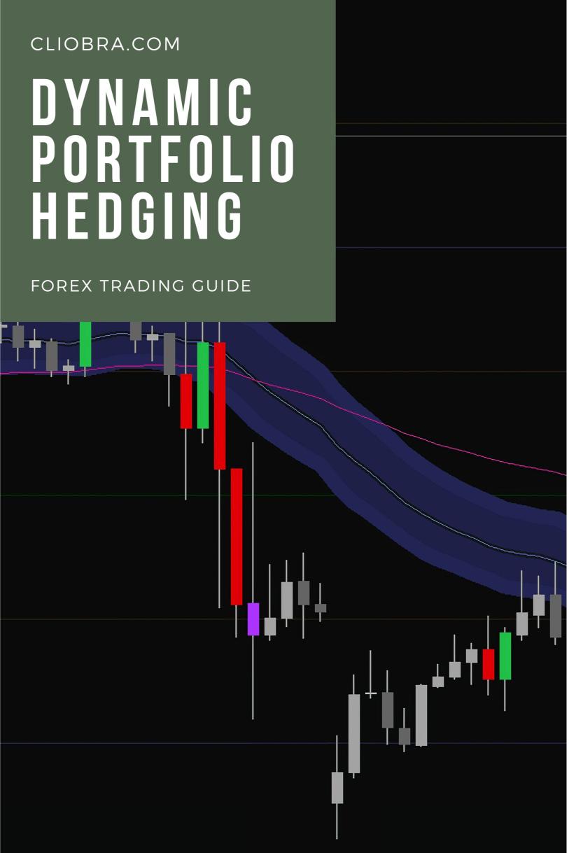 Why ‘Dynamic Portfolio Hedging’ Can Reduce Forex Trading Risk?